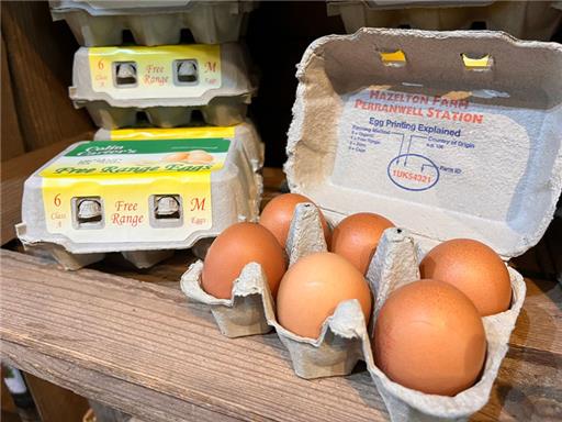 6 Medium Free Range Eggs